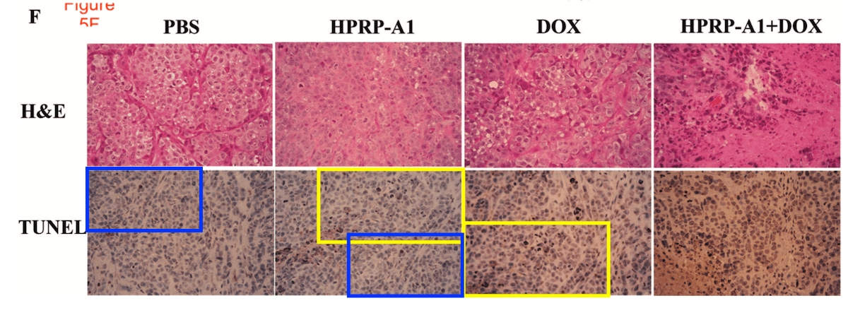 No Manipulation Was Detected in This&nbsp;Image