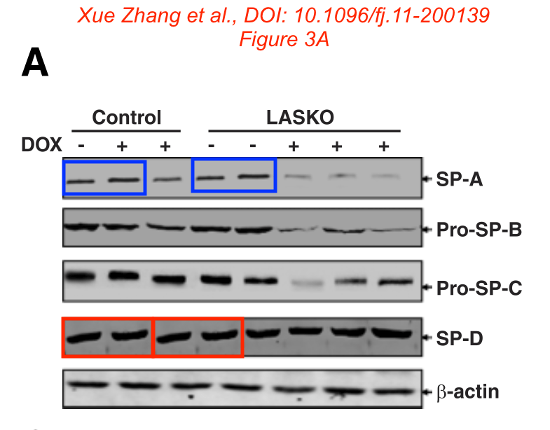 Problematic Papers from Zhejiang&nbsp;University